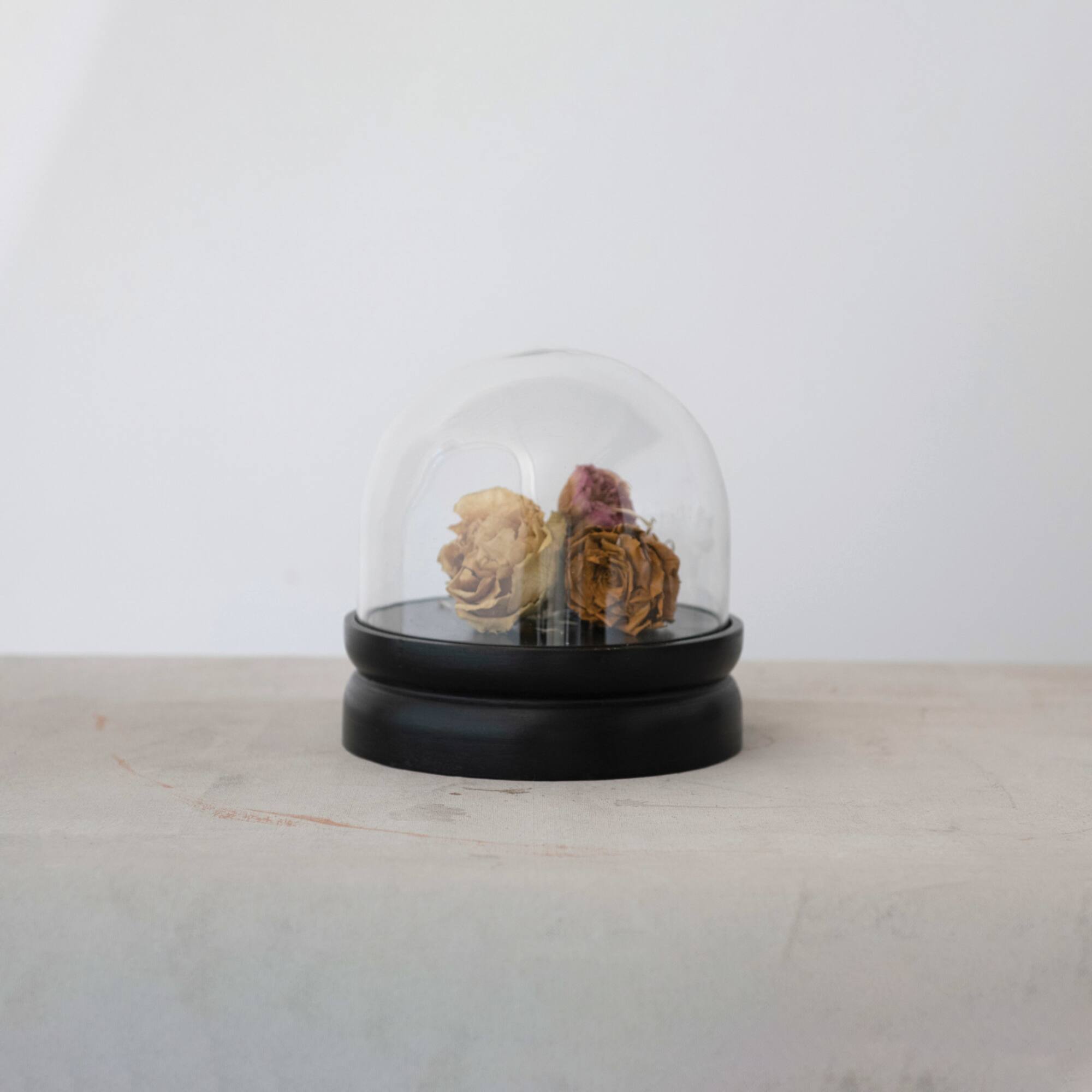Hello Honey® 8.5" Glass Cloche with Black Mango Wood Base Set